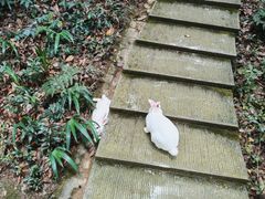 -都江堰普照寺