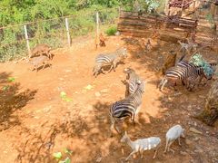 -昆明动物园