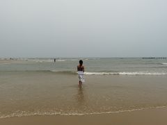 -北海金海湾红树林生态旅游区