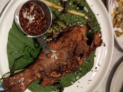 -Aqua Oasis 水天堂(常熟永旺店)