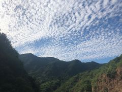 -仙居谷风景区