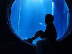 -无锡海洋馆