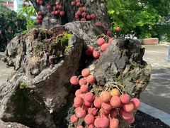 -中影星美国际影城(万家丽店)