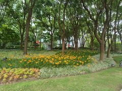 -北外滩滨江绿地