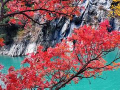 -叠溪松坪沟景区