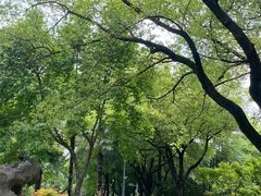 -汉水公园