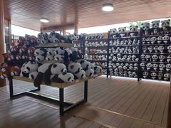 -熊猫主题餐厅