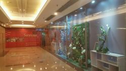-Sunny喜铺婚礼策划(东部店)