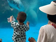 -海合安成都极地海洋公园
