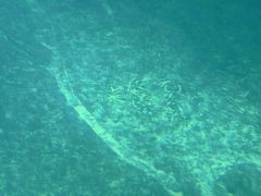 -白鹤梁水下博物馆