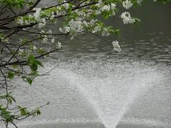 -重庆彩云湖湿地公园