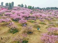 -秀丽东方