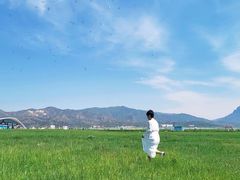 -敕勒川草原