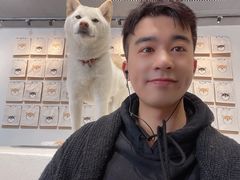 -柴务处·柴犬主题狗咖