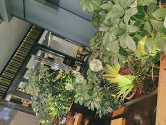 -木屋烧烤(观澜湖新城MH店)