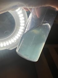 点击看大图 -爱小熊轻医美