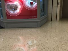 -ROSEONLY诺誓(青岛万象城店)