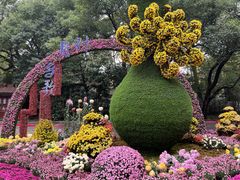 -杭州植物园