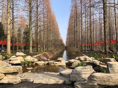-东平国家森林公园