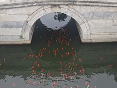 -北京市劳动人民文化宫(太庙)