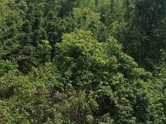 -平江沱龙峡漂流