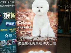 -贵族宠物·宠物美容(三阳路店)