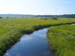 -塞罕坝国家级自然保护区