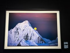 -罗红摄影艺术馆