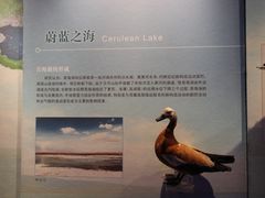 -青藏高原自然博物馆