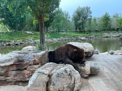 -北京野生动物园
