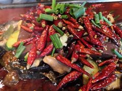 -探鱼·鲜青椒爽麻烤鱼(领展购物广场店)