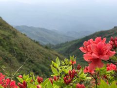 -大围山国家森林公园