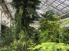 -北京植物园-展览温室