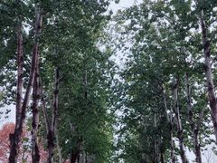 -康庄公园