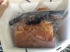 -BLACKSWAN黑天鹅(环球店)