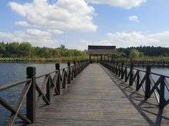 -溱湖国家湿地公园