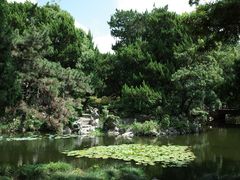 -叶家花园