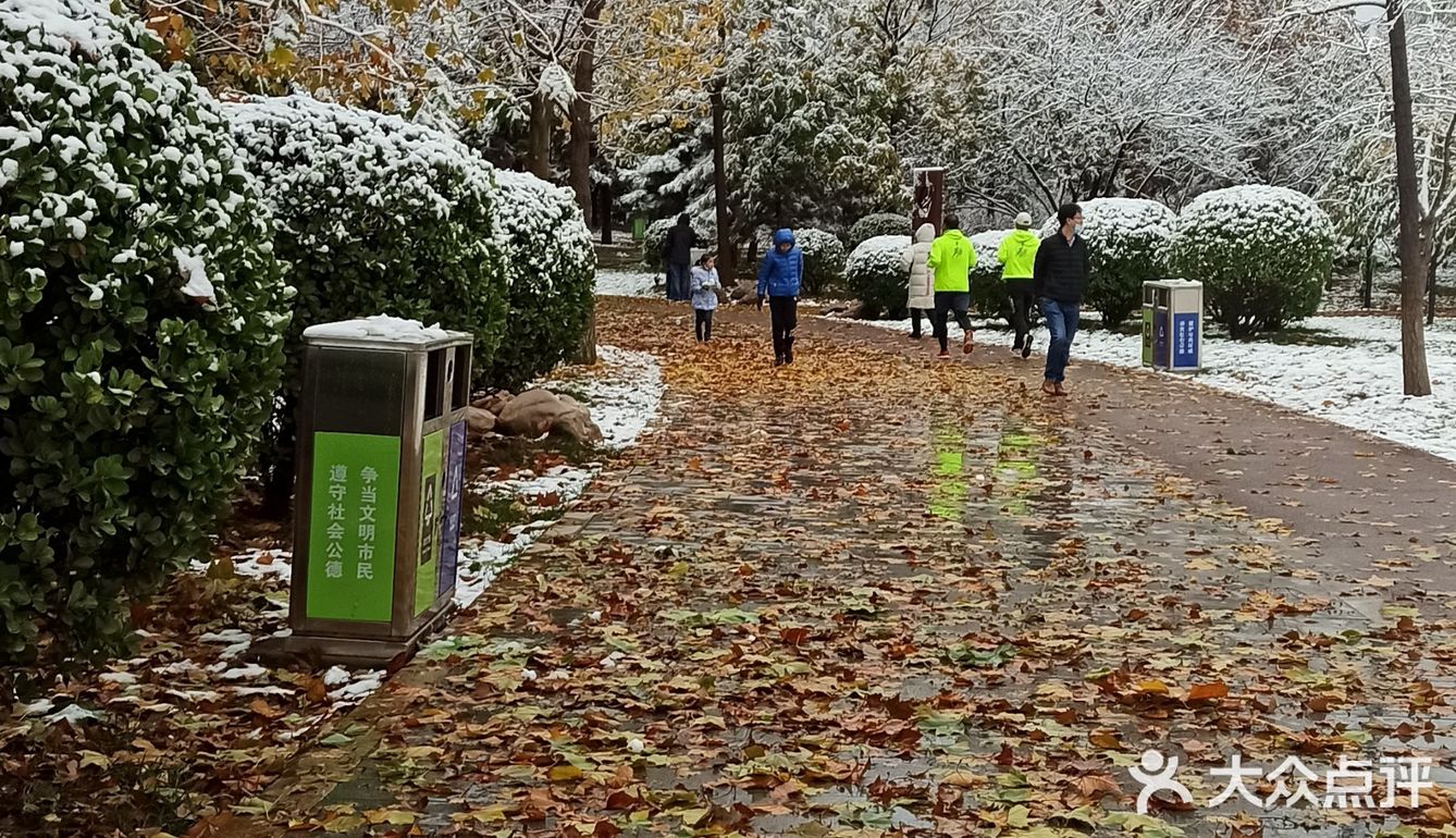 东环公园雪景和黄叶