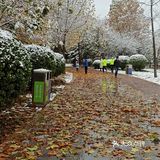 东环公园雪景和黄叶