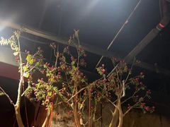 -破瓦寒窑·地摊烤羊排