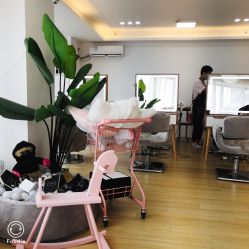 -E.L.K造型momopark店