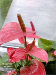 -变画·发型STUDIO