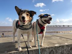 -南汇嘴观海公园