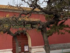 -北京市劳动人民文化宫(太庙)