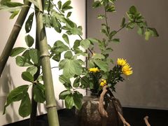 -北京三里屯CHAO酒店