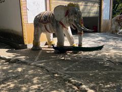 -瑞丽独树成林风景区