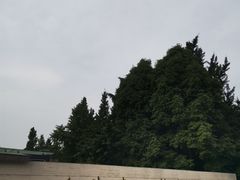 -金沙遗址博物馆