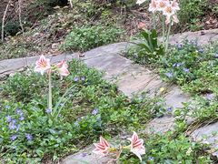 -贵阳市花溪国家城市湿地公园