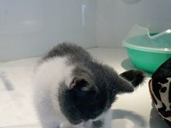 -龟与熊猫宠物公园(南坪店)