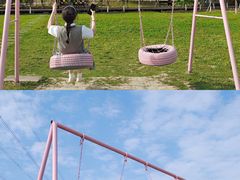 -紫颐香薰山谷景区